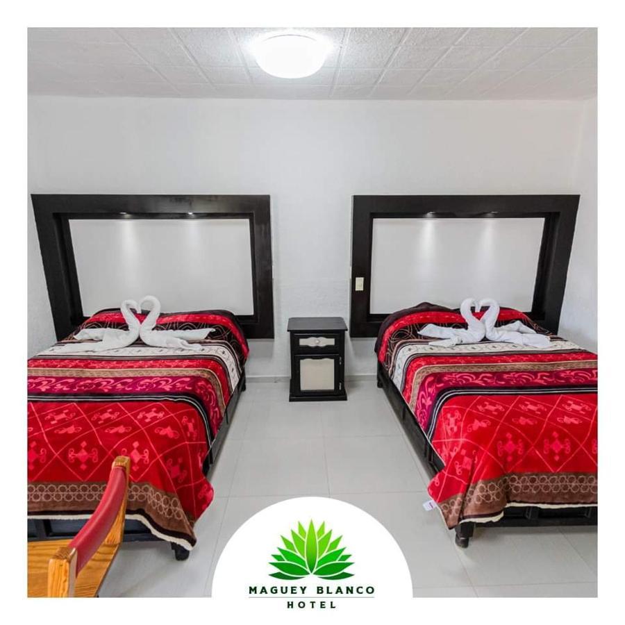 Hotel Maguey Blanco Ixmiquilpan Dış mekan fotoğraf