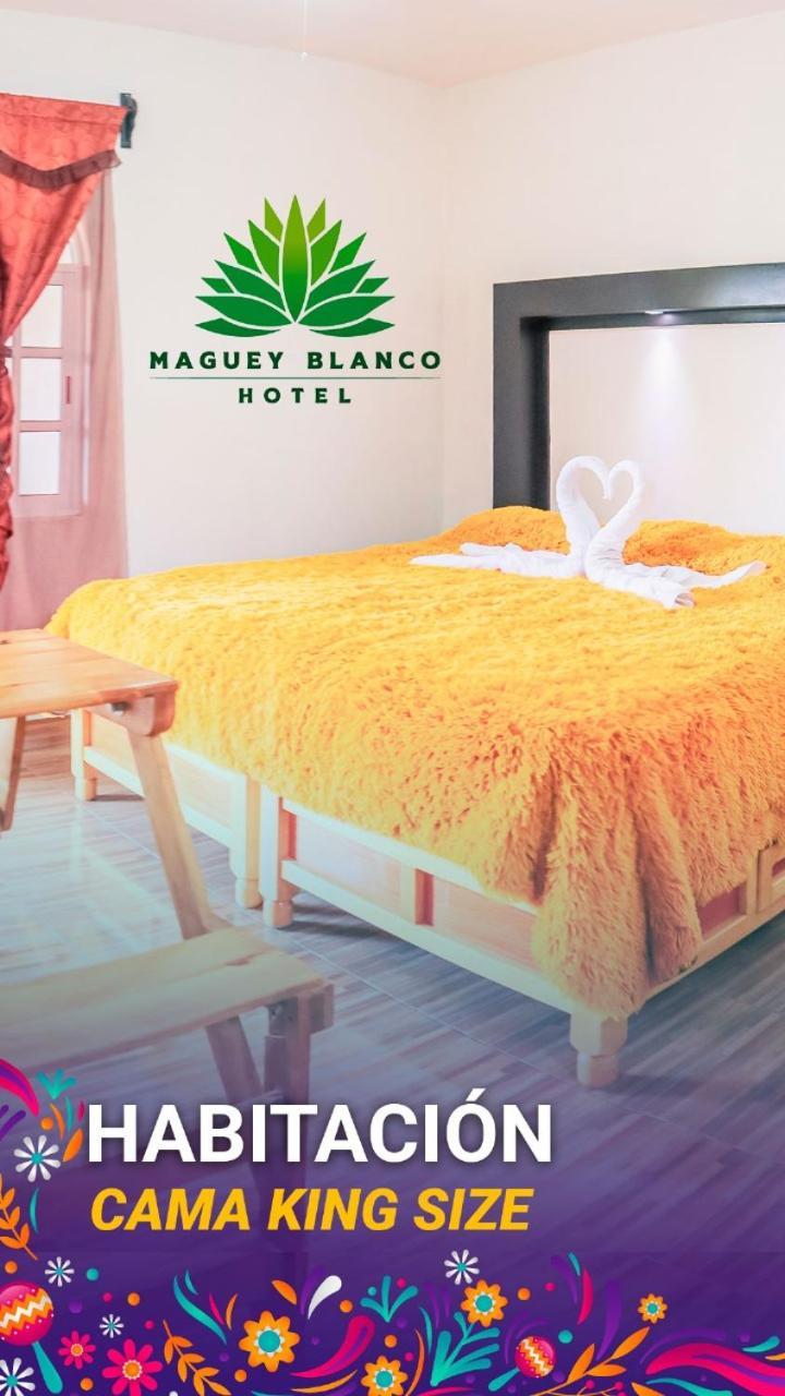 Hotel Maguey Blanco Ixmiquilpan Dış mekan fotoğraf